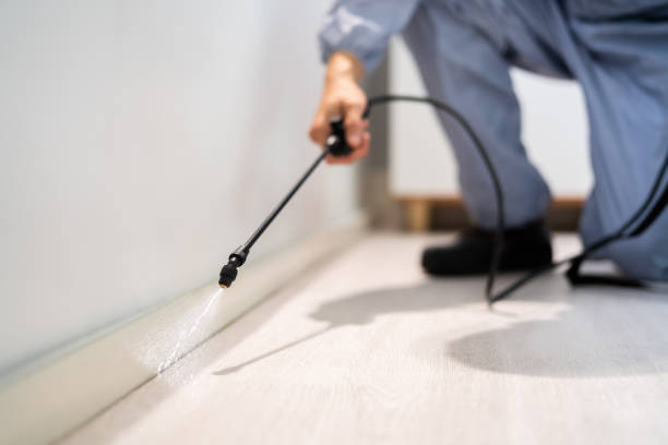 Licensed Pest Control service in Merrimac, VA - Show Me Pest Control