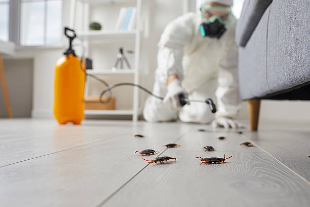 Post-Treatment Bed Bug Interceptor Monitoring in Merrimac