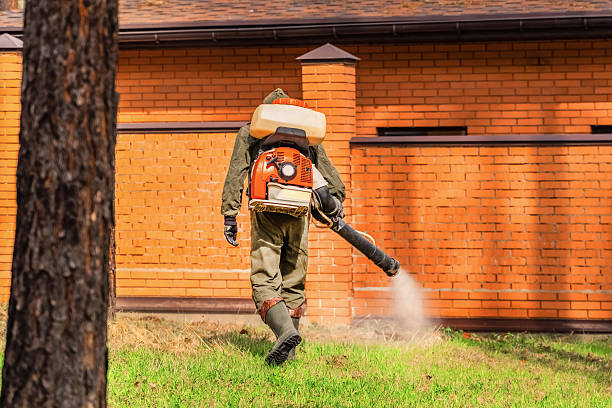 Bed Bug Clearance Verification and Documentation in Merrimac